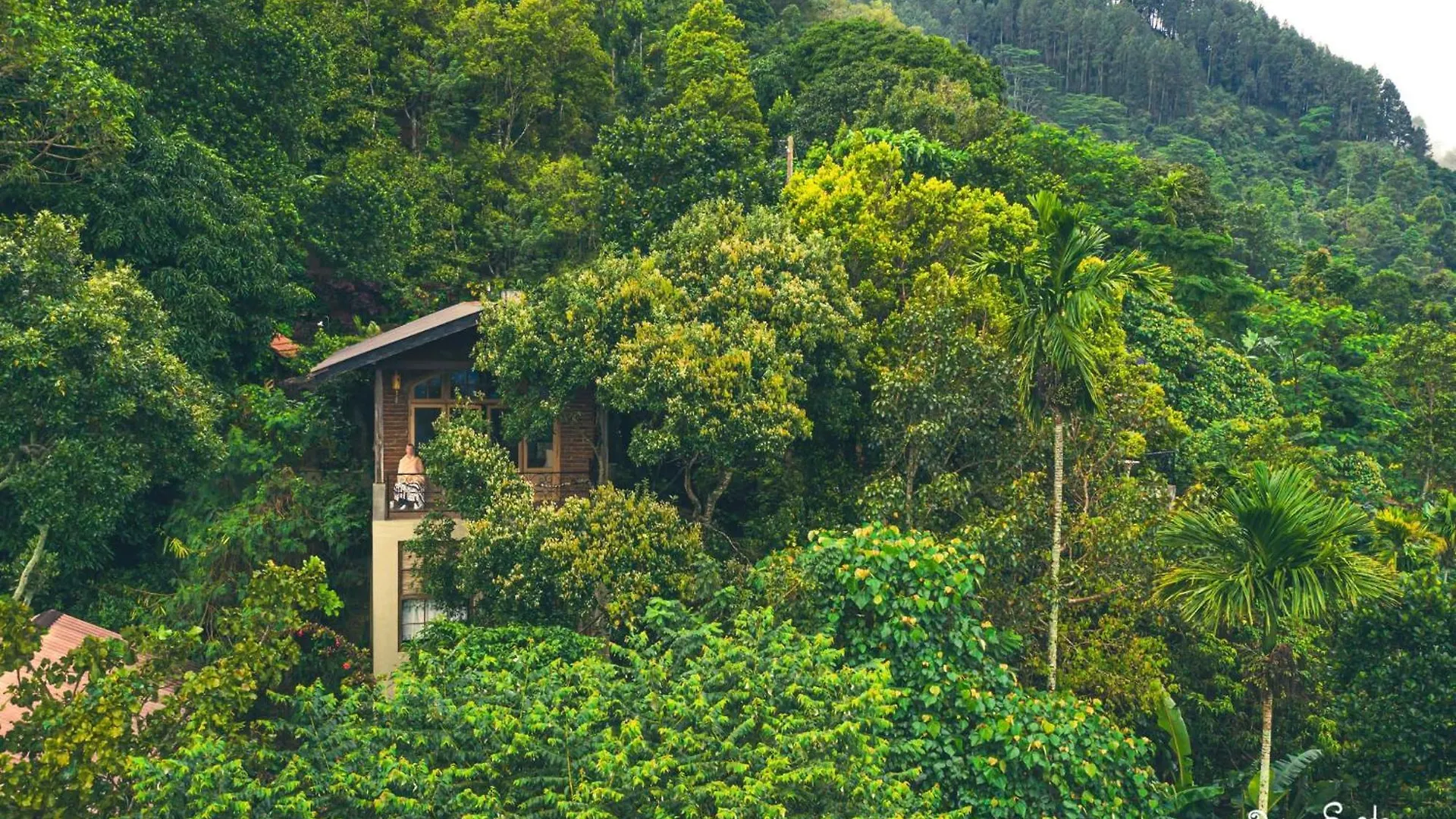 New Villa - Nugaliyadda Kandy
